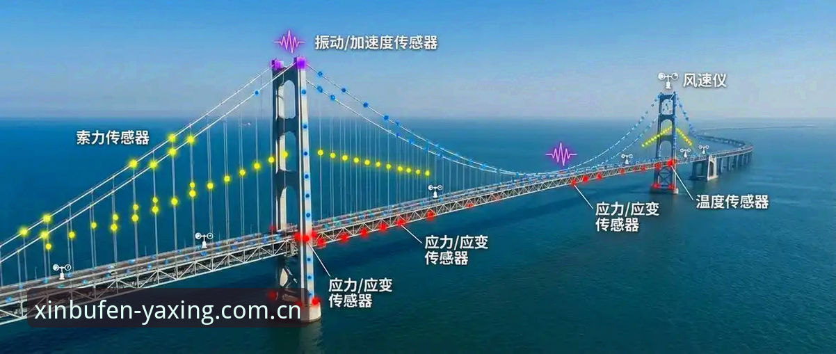 亚星体育平台的用新步伐定义本色2025安卓版下载，凭什么让数据说话？