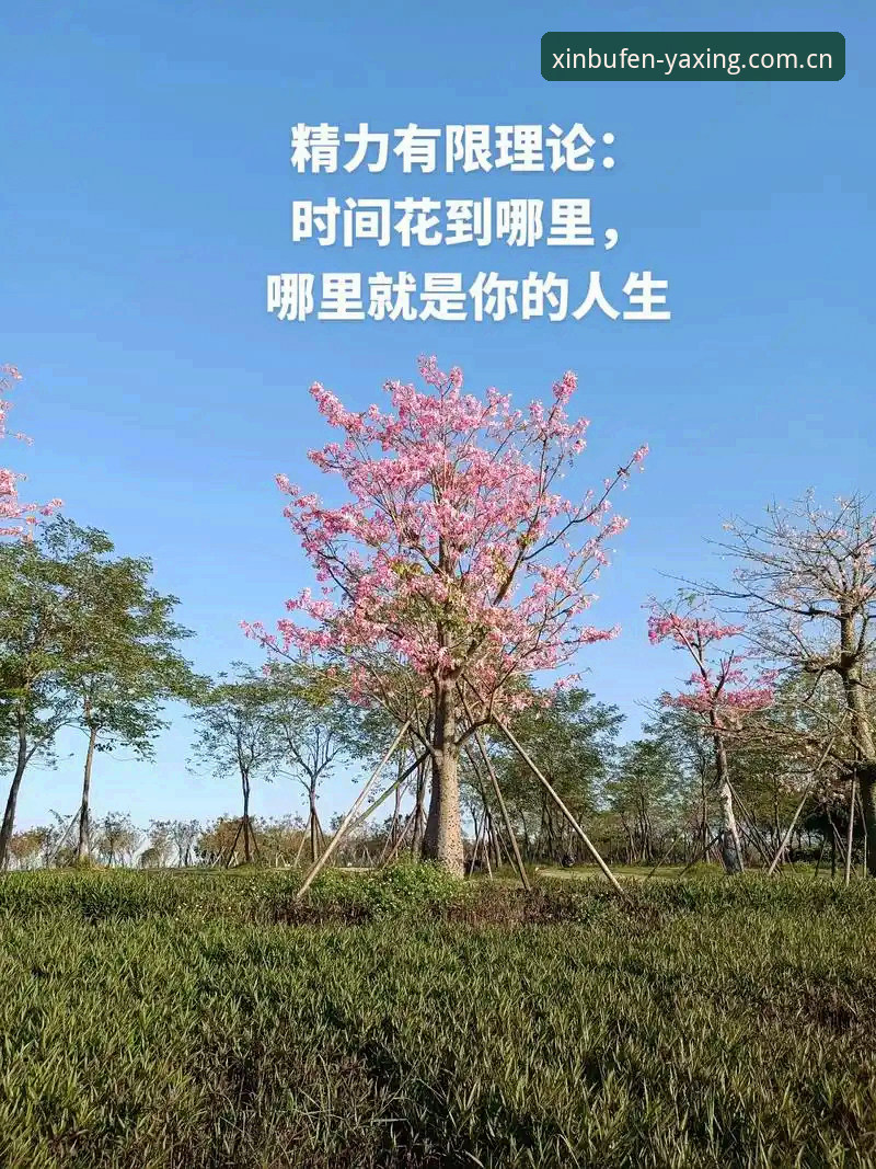 用新步伐定义本色网页登录入口功能详解 没人告诉你,登录入口本身,才是真正定义产品调性的第一道门槛——你信吗?